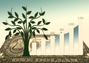 Investment in Holz