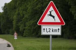 Nicht bei jedem Unfall mit einem (wilden) Tier handelt es sich um einen Wildunfall. Der Grund: In Deutschland wird zwischen Wildtieren und wildlebenden Tieren unterschieden. Als Wild gelten alle zur Jagd freigegebenen Landwirbeltiere, also Säugetiere und Vögel. Man unterscheidet deshalb noch einmal zwischen Haarwild und Federwild. Das ist im Bundesjagdgesetzt festgelegt.