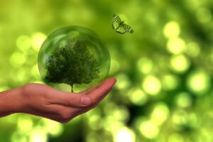 ESG, SDG, Impact – das kleine Einmaleins der nachhaltigen Kapitalanlage
